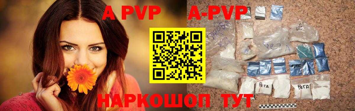 Alfa_PVP СК Ухта