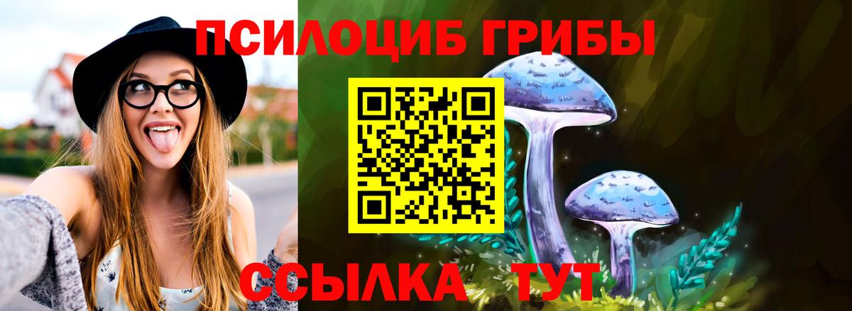 Псилоцибиновые грибы GOLDEN TEACHER Ухта